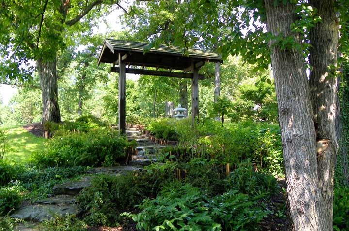 Buffalo Japanese Garden