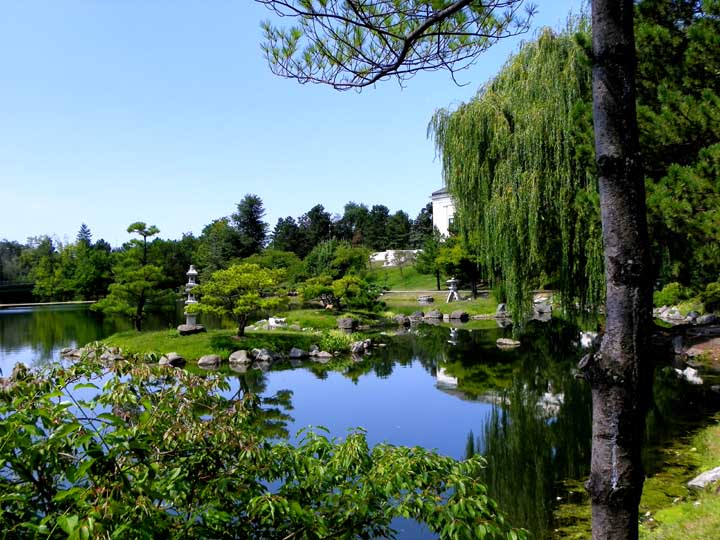 Buffalo Japanese Garden