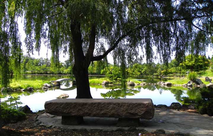 Buffalo Japanese Garden