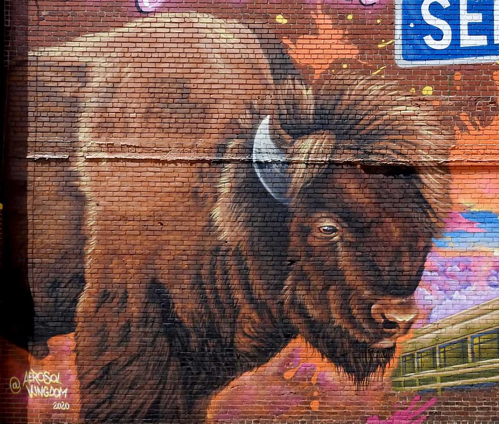 Vibrant Buffalo mural
